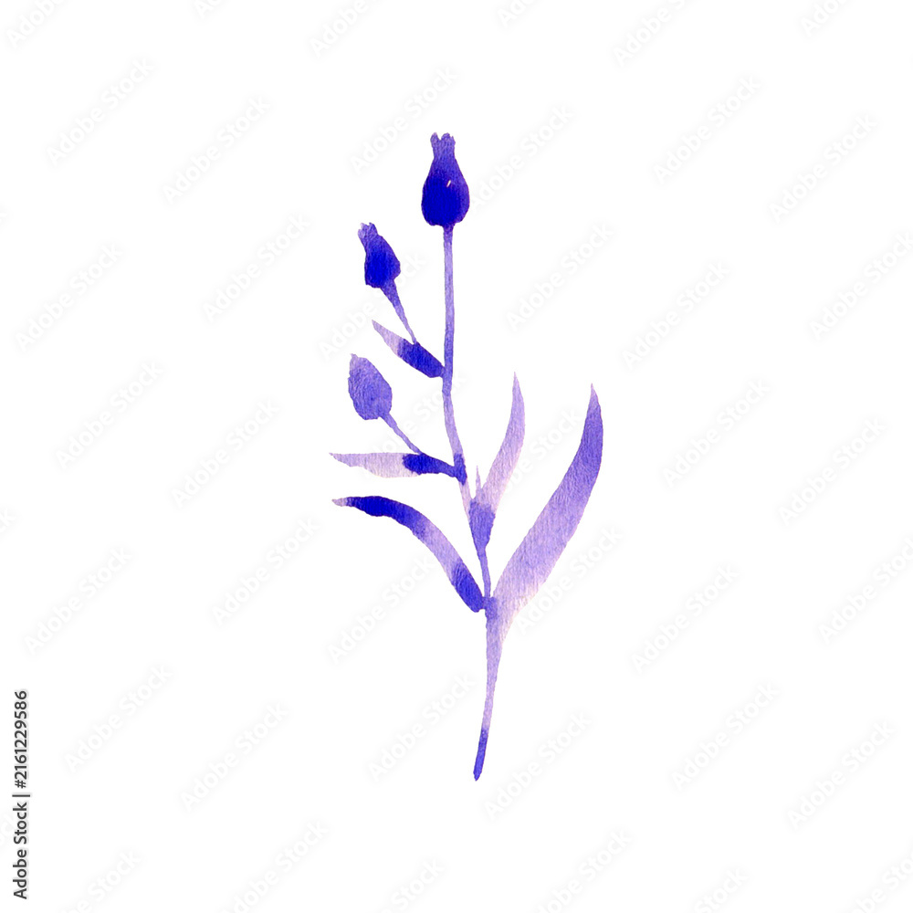 Obraz premium Hand drawn watercolour branches set. Purple plants branches with leaves and buds use as print, poster, element design, floral illustration, card, invitation desigh, textile, wrapping paper, floral ele