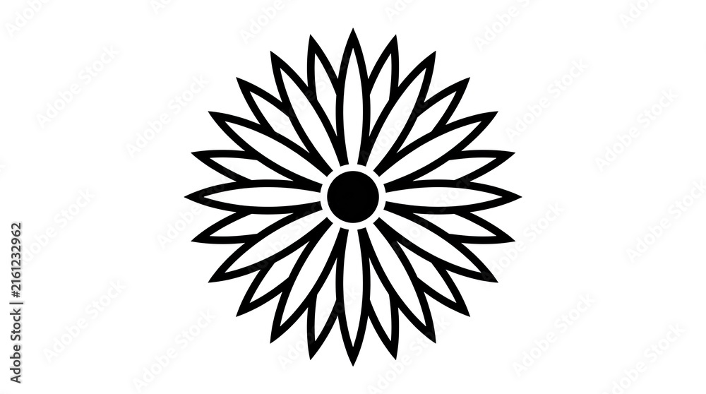Obraz premium black and white star