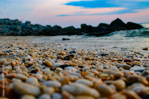 Canvastavla Close Low View of Smooth Beach Shells With Rocky Surf Softly Blurred Beyond