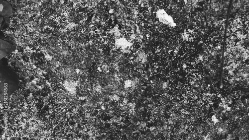 Konstfotografi High contrast monochrome close-up of rugged rock texture with mossy organic growth and bright mineral patches, creating an abstract natural black and white background