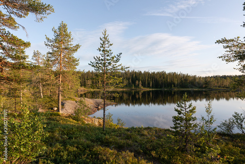 Peaceful Forest Lake in Evening Light, Norway