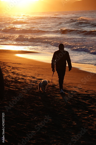 Obraz na plátne lovely puppy with daddy in sunrise