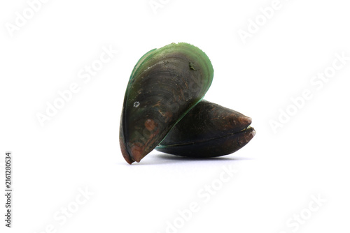 Quadro su tela green lipped mussels