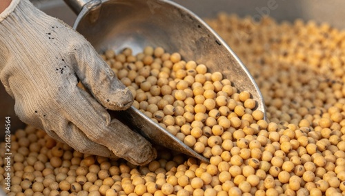 A gloved hand uses a scoop to pour freshly harvested soybeans into a container, with large grain silos and a port crane in the background.