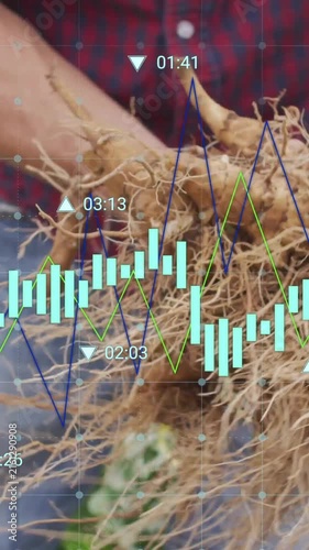 Financial data charts animation over farmer harvesting crops in field