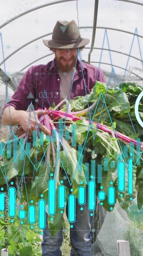 Farmer harvesting vegetables with health data animation over greenhouse background