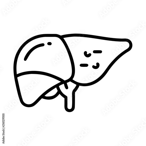 Liver anatomy human organ line icon vector illustration.