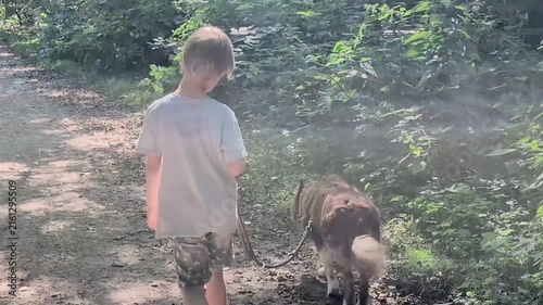 rear view of a young boy walking his brown dog on a leash along a sunny path through the woods