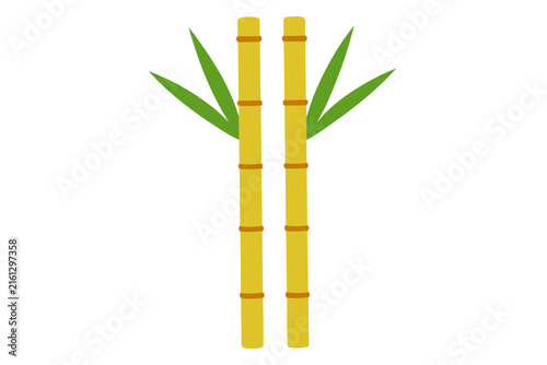 Fresh green bamboo stalks with nodes isolated on bright white background for design projects