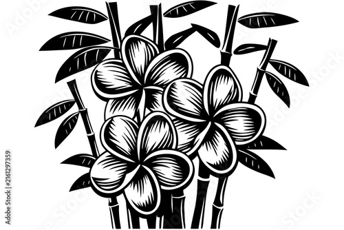 Hand-drawn black and white frangipani flower bouquet with bamboo stems illustration