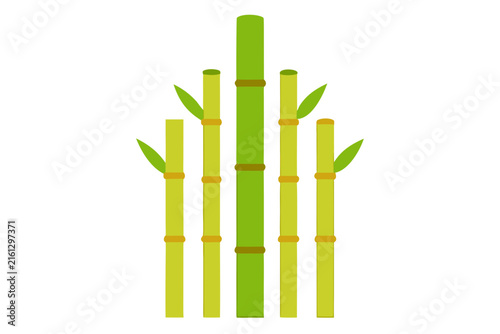 Fresh green bamboo stalks with leaves isolated on bright white background for eco design