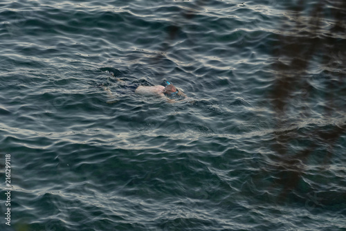 Hombre haciendo snorkel en la superficie del mar Mediterráneo, Costa Brava