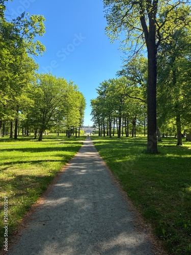 Photography alley in the park