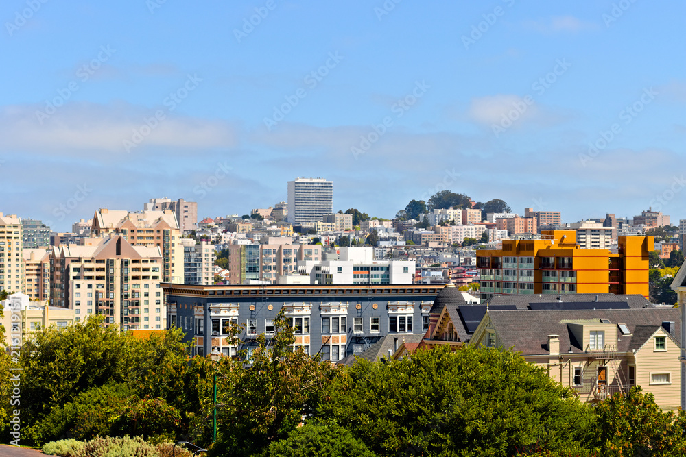 Obraz premium Dense San Francisco neighborhoods and varied architecture rise beyond leafy trees under a bright blue sky with low summer clouds.