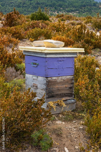 Fotografie Purple beehive box in natural mountain landscape