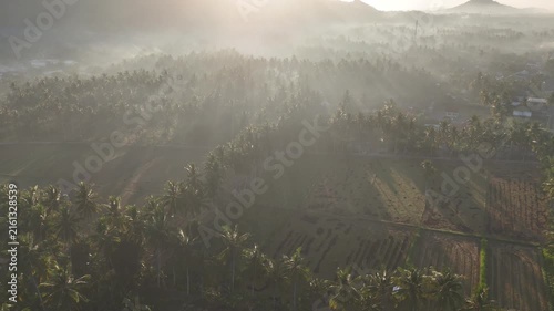 Beautiful golden sunrise over misty rice fields and coconut palm trees with mountain background in Dusun Tempos Desa Banyu Urip Gerung Lombok NTB Indonesia