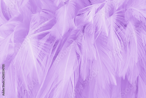 Foto Purple pastel color bird feather pattern texture for background and design