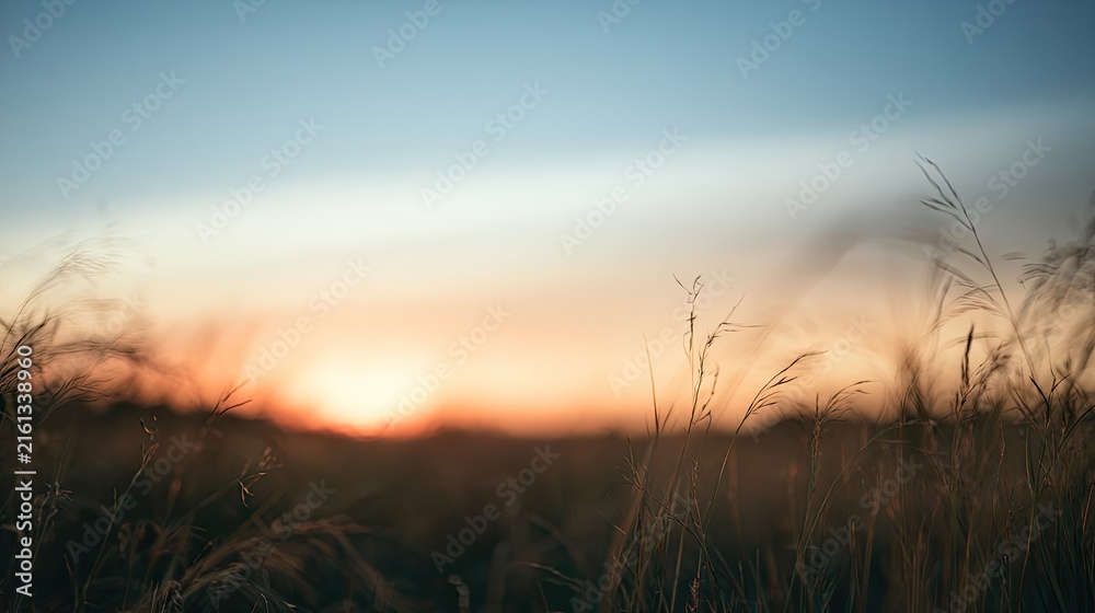 Fototapeta premium Golden sunset light bathes tall grass in a hazy, warm, and tranquil meadow