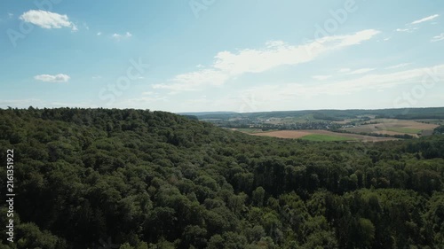 Scenic aerial video capturing endless vineyards, vibrant summer colors, and a peaceful rural landscape.