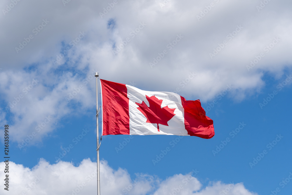 Naklejka premium A National Flag of Canada waving against a blue sky with white clouds. 