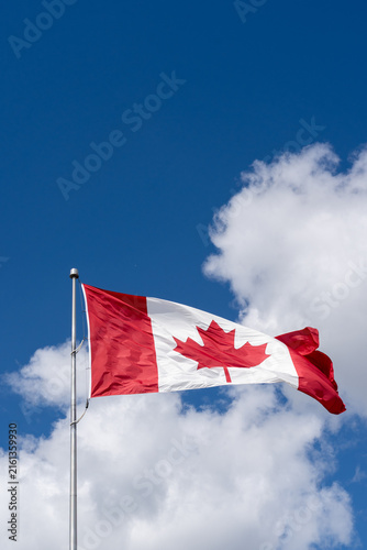 Photography A National Flag of Canada waving against a blue sky with white clouds
