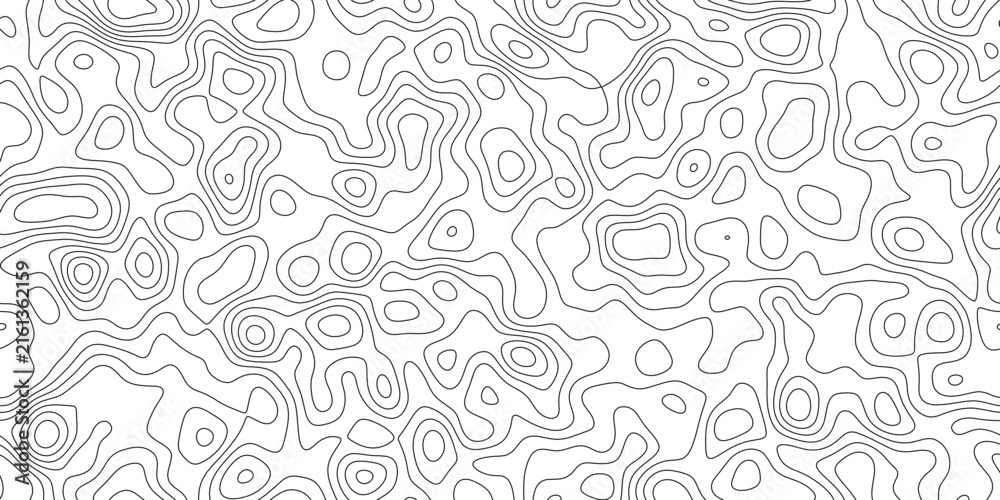 Fototapeta premium Minimal abstract topographic line art background, geographic mapping lines with smooth organic curves, for backdrop, packaging and web design.