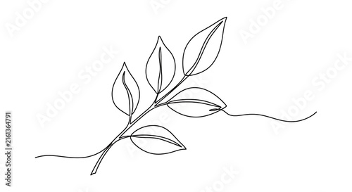 Elegant minimalist line art illustration of a delicate leafy branch emphasizing simplicity and natural grace
