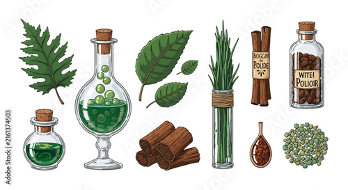 Alchemy ingredients with herbal potions and dried plants