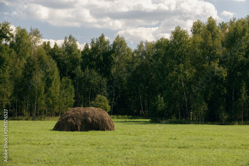 Foto Traditional haystack in green meadow near dense forest in countryside under summ