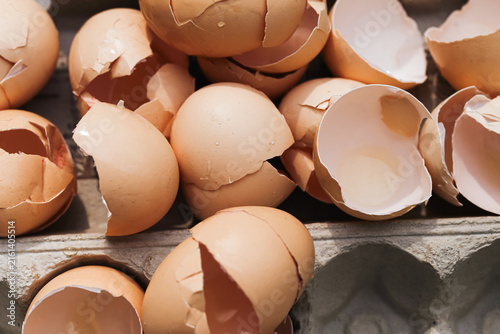 Canvastavla Broken brown eggshells fill cardboard tray