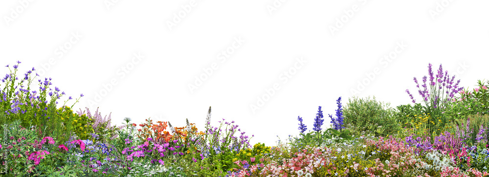 Fototapeta premium foreground flower gardens and meadows on a transparent background.