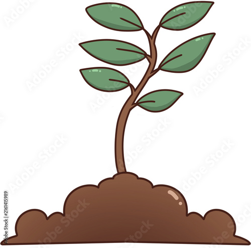 Green plant seedling growing in brown soil