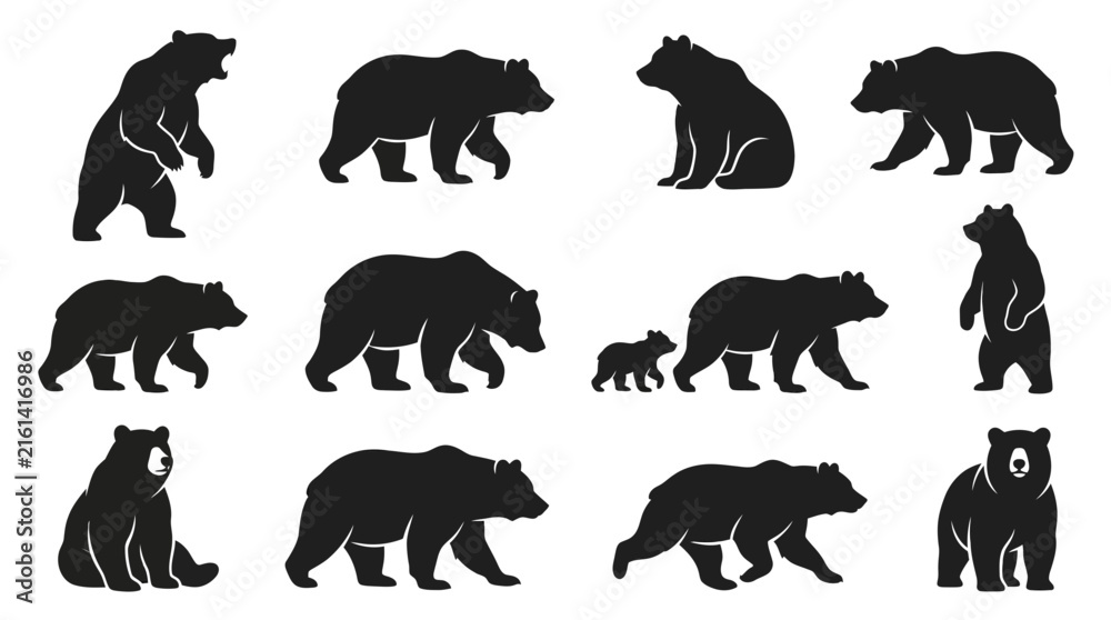 Obraz premium Set of black bear silhouettes in various poses including standing walking and sitting isolated on a plain background