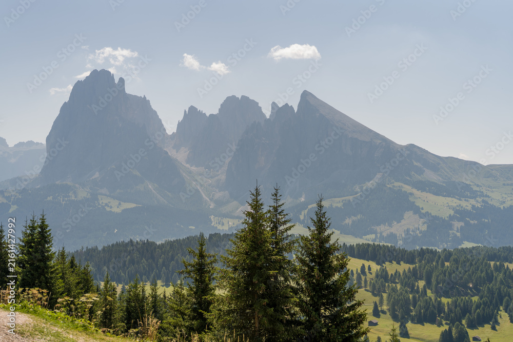 Obraz premium Dramatic Dolomite peaks rising above alpine forest and meadows in northern Italy