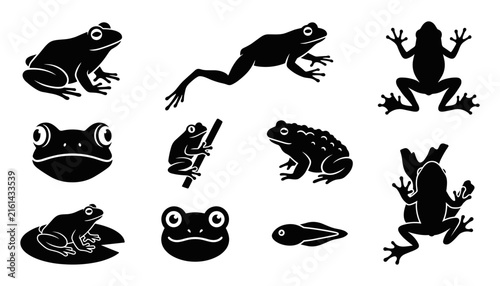 Black Frog Silhouette and Icon Set Featuring Toad Shapes, Jumping Amphibians, Tadpole Life Cycle Stage, and Cartoon Faces for Nature Logo Graphic Designs