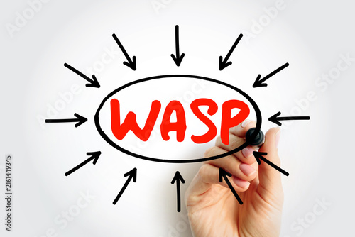 Obraz na płótnie WASP acronym for White Anglo-Saxon Protestant