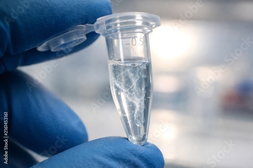 Hand in blue protective glove holding a clear microtube with white fibrous precipitate suspended in a liquid, representing a successful DNA or protein isolation in a research laboratory setting