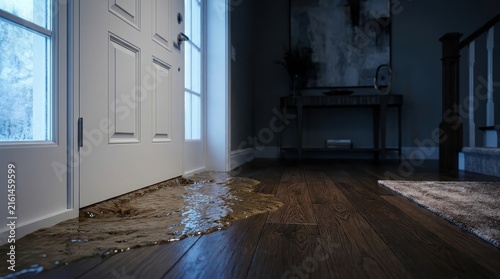 Floodwater Seeping Under Home Door Causing Interior Water Damage