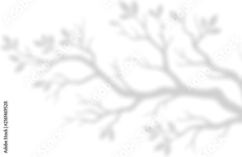 Soft blurred tree branch silhouette overlay effect with displays soft on transparent background