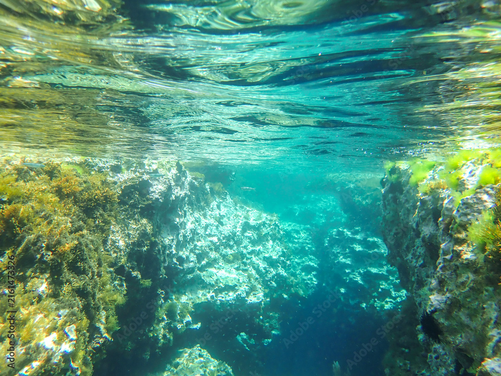 Fototapeta premium sea, underwater, sunlight, water, background, ocean, under, wave, blue, deep, undersea, light, rays, diving, marine, sun, abstract, surface, clean, texture, sunbeam, dark, clear, nature, aquatic sea.