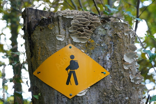 Hiking trail marker on forest tree in Switzerland.