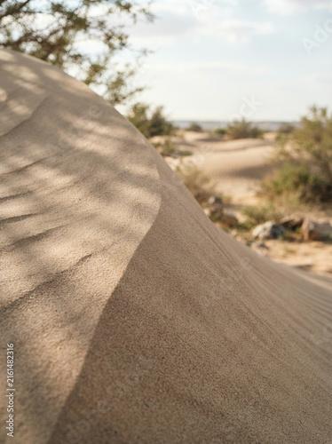 Curving sand dune crosses a dry rocky landscape beneath a pale blue horizon