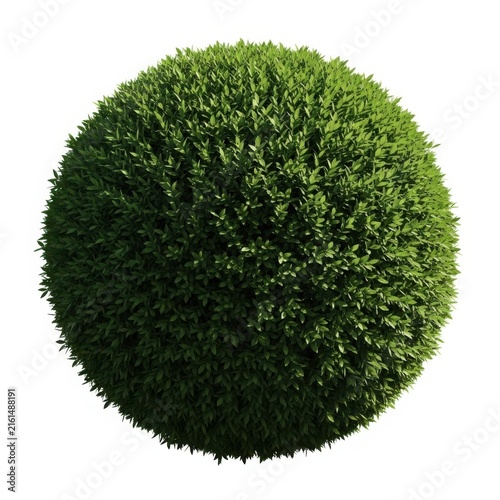 Green and black spherical grass texture