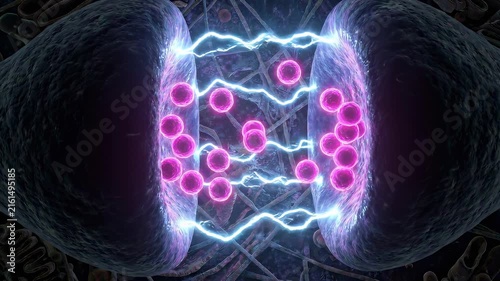 Neon Pink Neurotransmitter Vesicles Crossing Synaptic Gap - Chemical Brain Communication