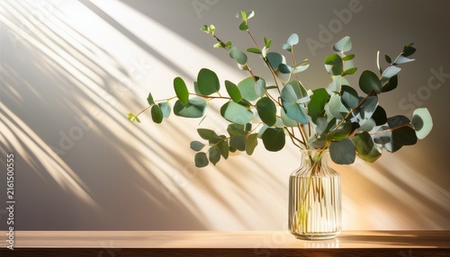 eucalyptus branches in glass vase with sunlight reflection on wall