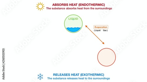 Animation of physics, Thermodynamic infographic diagram illustrating endothermic and exothermic phase change transitions between solid liquid gas states, explaining matter enthalpy dynamics