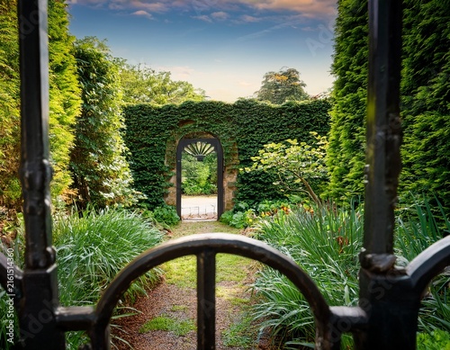 view through wrought iron gate into overgrown lush garden