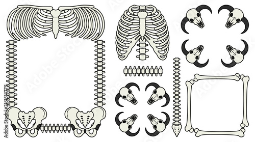 Quadro su tela Vector skeletal bone frames and elements including rib cages, skulls, and spines for gothic designs