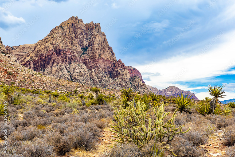 Fototapeta premium Panoramic view of Mount Wilson along Spring Mountain Ranch trail