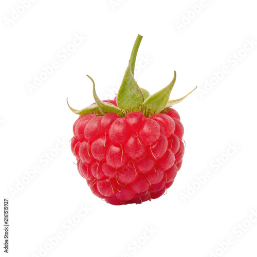 Canvas Print Single vibrant red raspberry with green sepals and stem, captured in a detailed